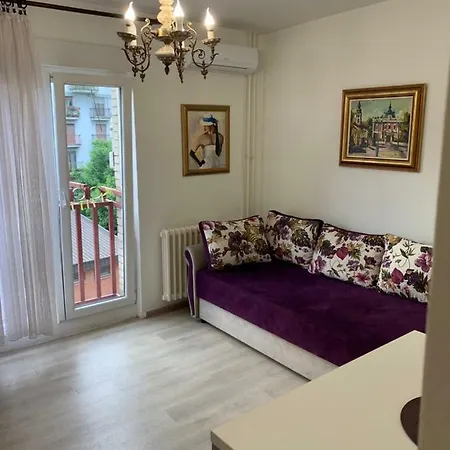 Apartment Violet Star